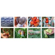 Formy na warzywa i owoce - formy-galeria[1].jpg